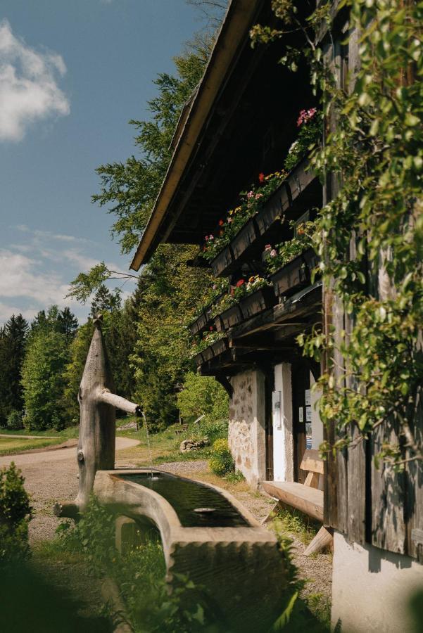 Der Hirschen Hotel Sankt Margen Exterior photo